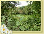 ValJoly_lla_04.09 (23)